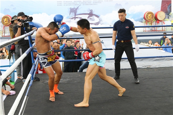 2018四川中江．龙台首届武术节之打金章篇